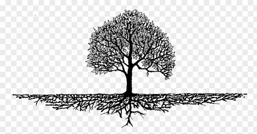 Family Tree Root Wood Mulch Arborist PNG
