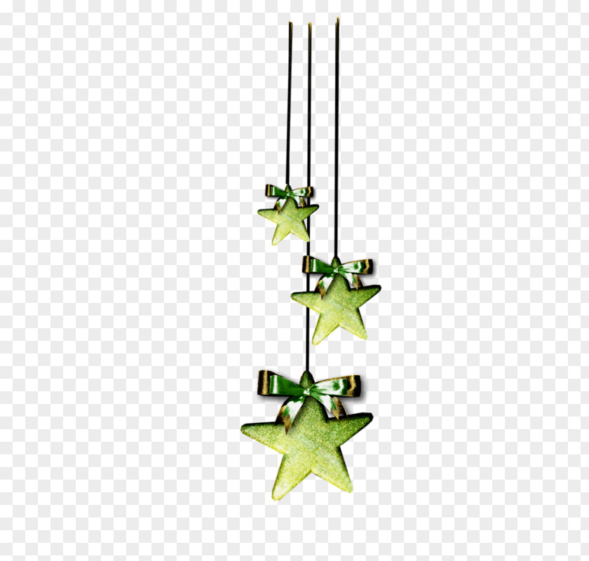 Green Star Pendant PNG
