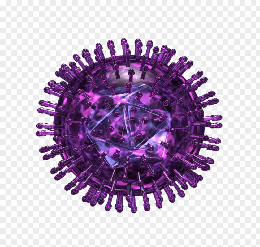 Infection Transmission Herpes Simplex Virus Labialis Herpesviruses PNG