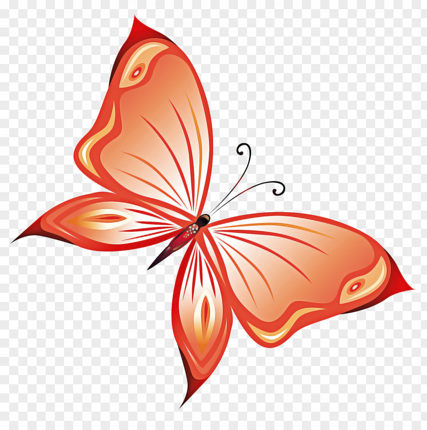 Logo Pollinator Butterfly Leaf Clip Art Moths And Butterflies Plant PNG