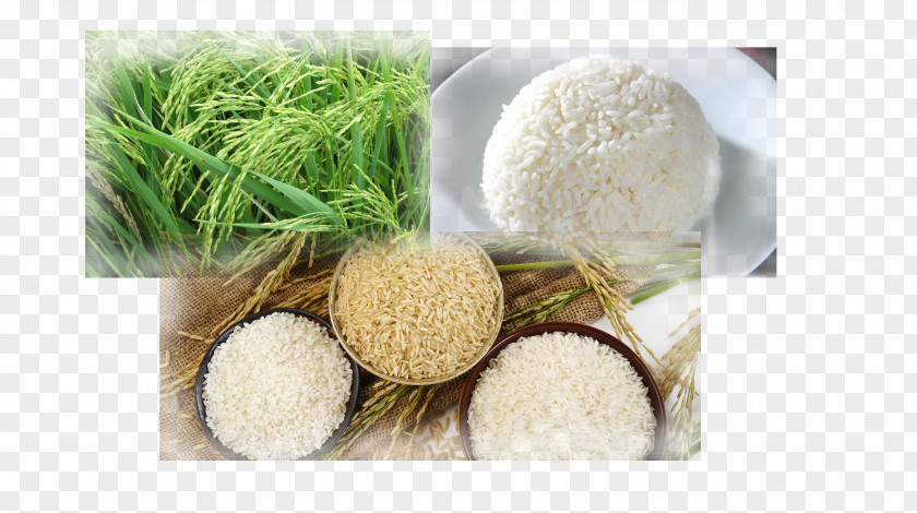 Rice Paddy Thailand Parboiled Mineral White PNG
