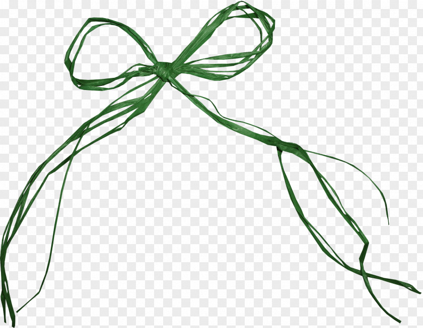 Rope Pic Clip Art Image Bow PNG