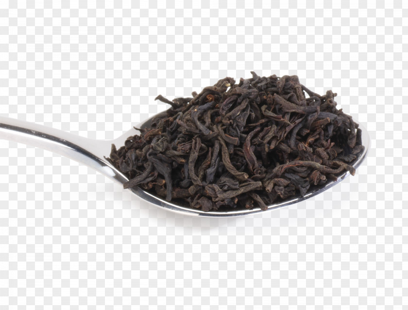 Tea Nilgiri Dianhong Romeritos Golden Monkey PNG