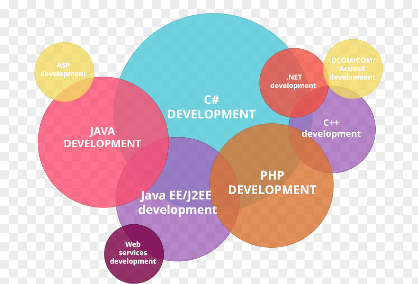 Web Design Development Skill Software Career Computer PNG