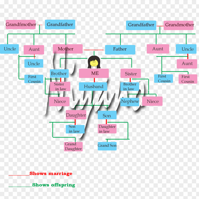 Olympiad Paper USMLE Step 3 Diagram Family Tree PNG