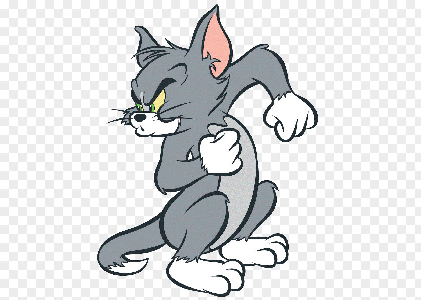 Tom And Jerry Cat Mouse Drawing PNG