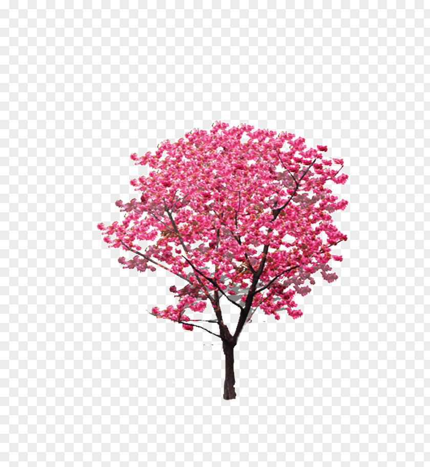 Tree Pink Twig Icon PNG
