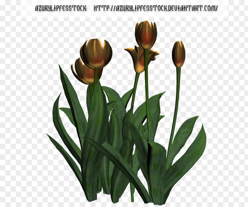 3d Clip Art Tulip Flowerpot Plant Stem PNG