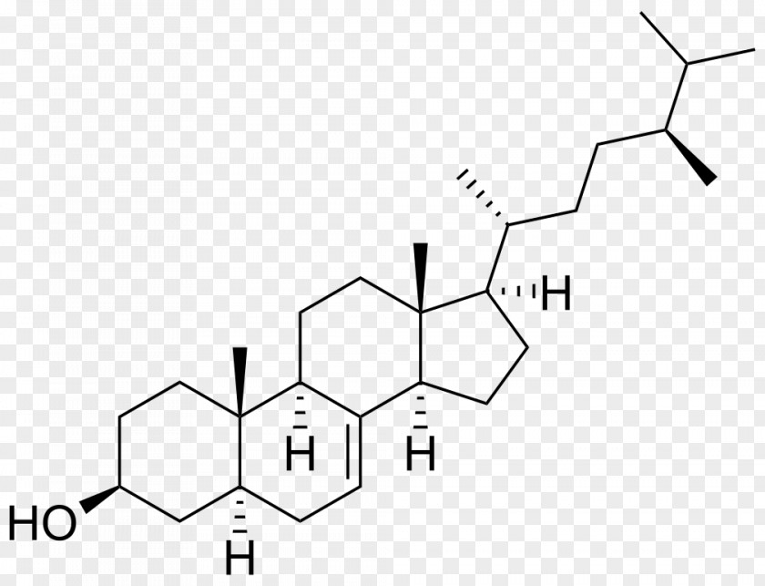 Fungi Androgen Receptor Anabolic Steroid Androstenedione PNG