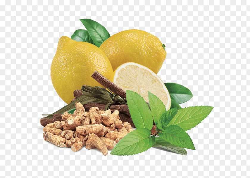 Lemon Vegetarian Cuisine Basil Liquorice Mints PNG