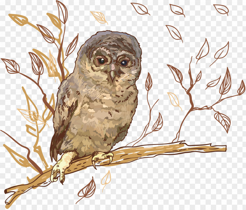 Owl Great Grey Tawny Clip Art PNG