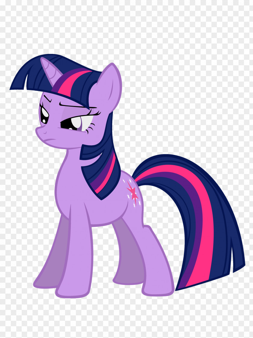 Sparkle Vector My Little Pony Twilight Photography DeviantArt PNG