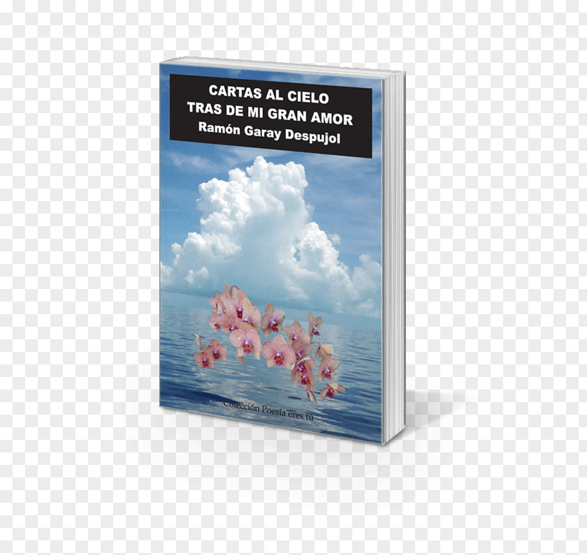 Book Cartas Al Cielo Tras De Mi Gran Amor Author Poetry PNG