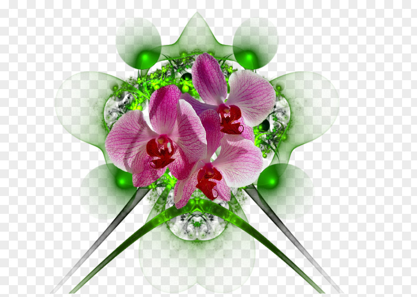 Flower Floral Design Cut Flowers Bouquet PNG