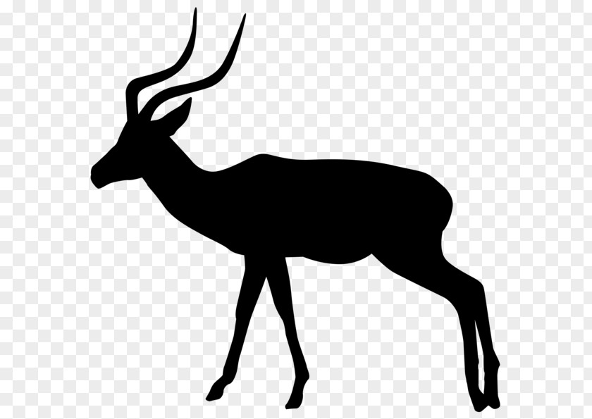 Gazelle Antelope Clip Art PNG