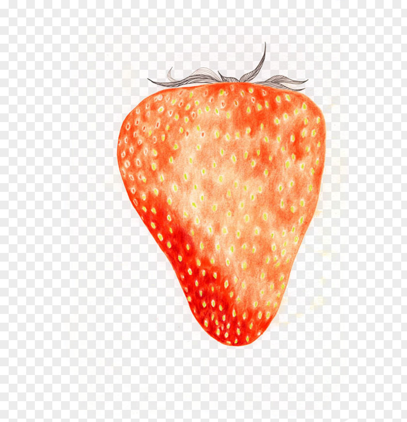 Hand-painted Cartoon Strawberry Aedmaasikas Drawing Amorodo PNG