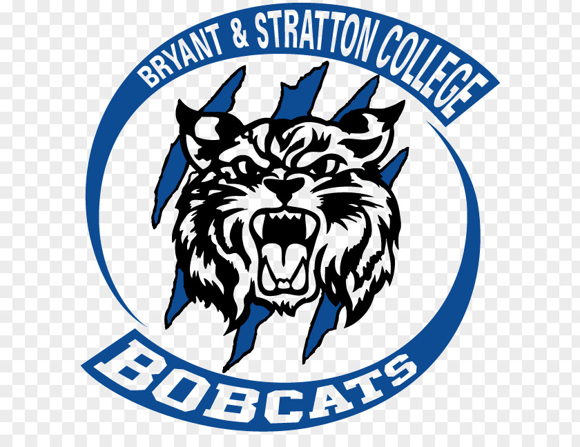 Baseball Bryant And Stratton College Richard Bland Community Of Baltimore County Harford Louisburg PNG