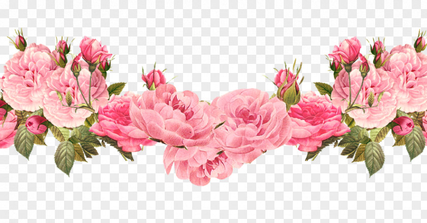 FLOWER LONG Pink Flowers Floral Design Clip Art PNG
