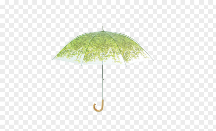 Light Green Umbrella Transparency And Translucency Sunlight Shade PNG