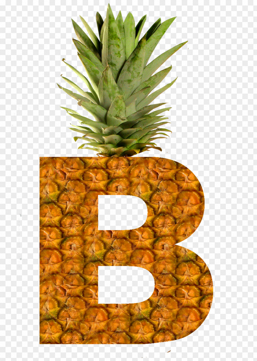 Pineapple Juice Slice Fruit Crisp PNG