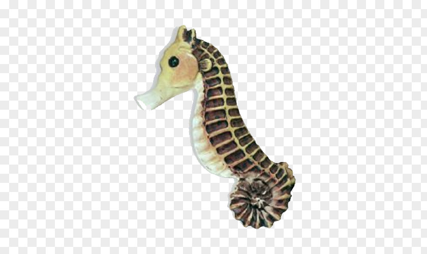 Seahorse Drawer Pull Cabinetry Door Handle PNG