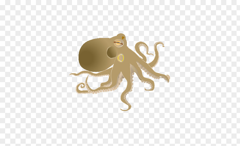 Skys Octopus Cephalopod Cartoon PNG