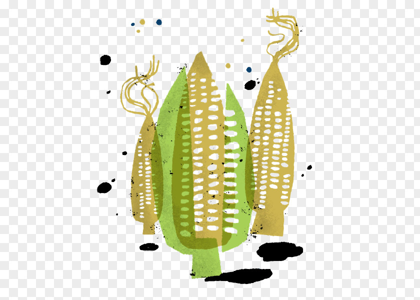 Corn On The Cob Maize Carrot Pea Illustration PNG