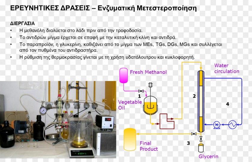 Poi Biodiesel Process Methanol Fatty Acid PNG