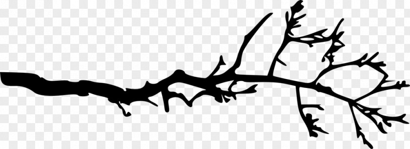 Silhouette Branch Tree PNG