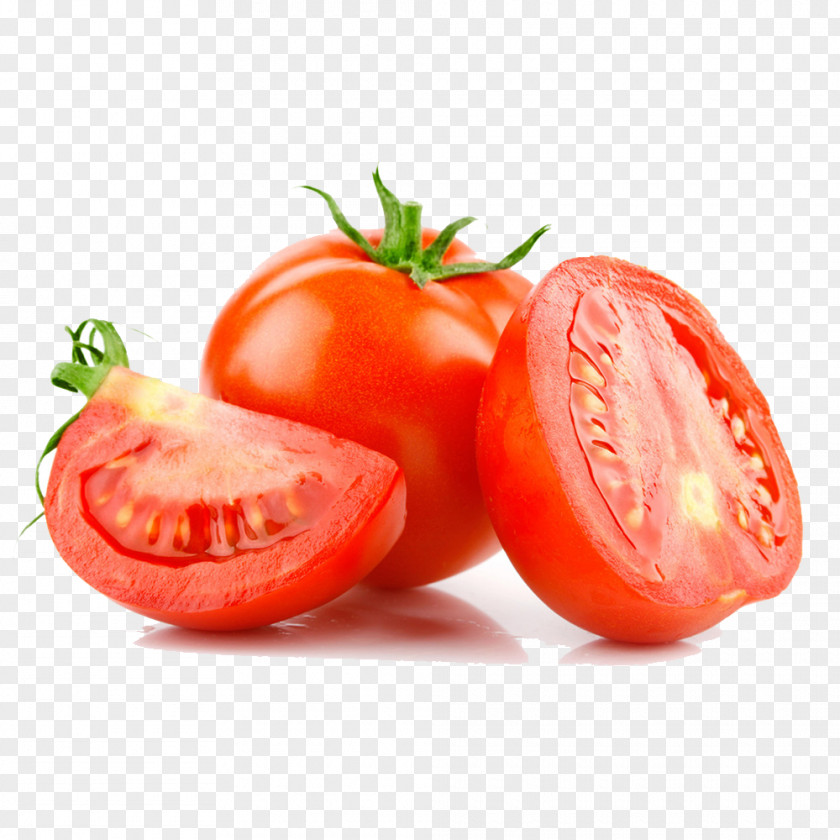 Tomato File Plum Fruit Vegetable Bush PNG