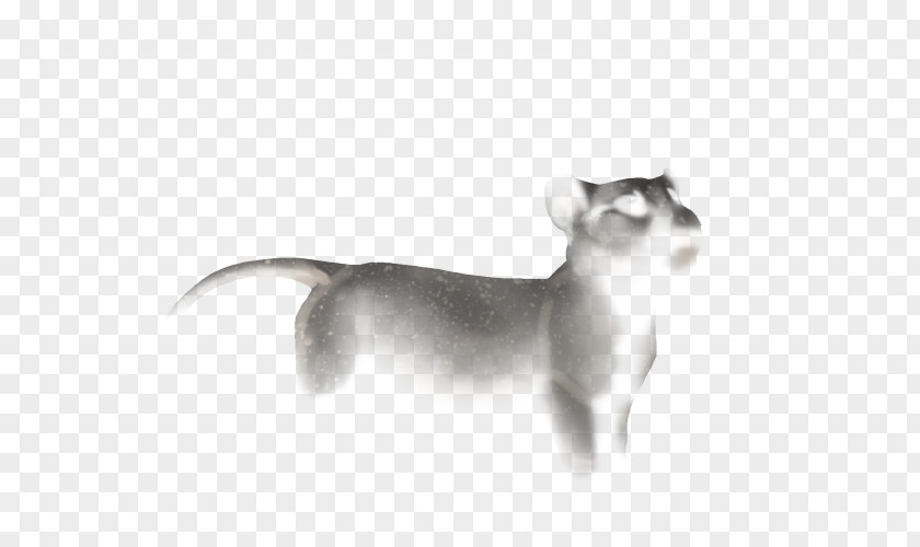 Whiskers Italian Greyhound Dog Breed Siamese Cat PNG
