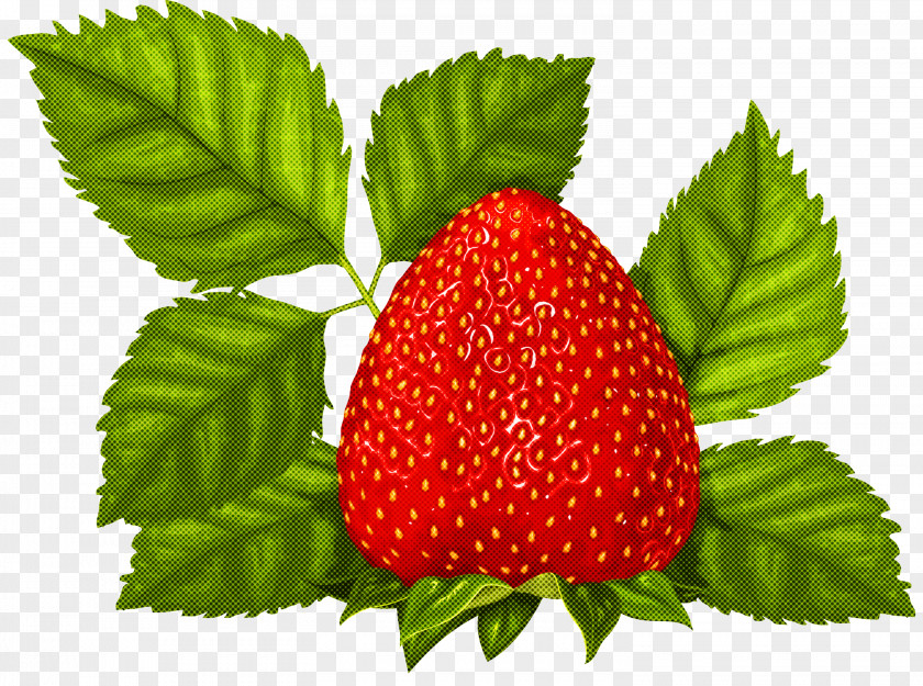 Alpine Strawberry Natural Foods PNG