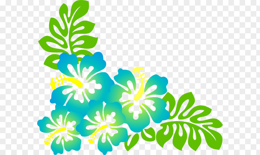 Flower Hawaii Rosemallows Drawing Desktop Wallpaper Clip Art PNG