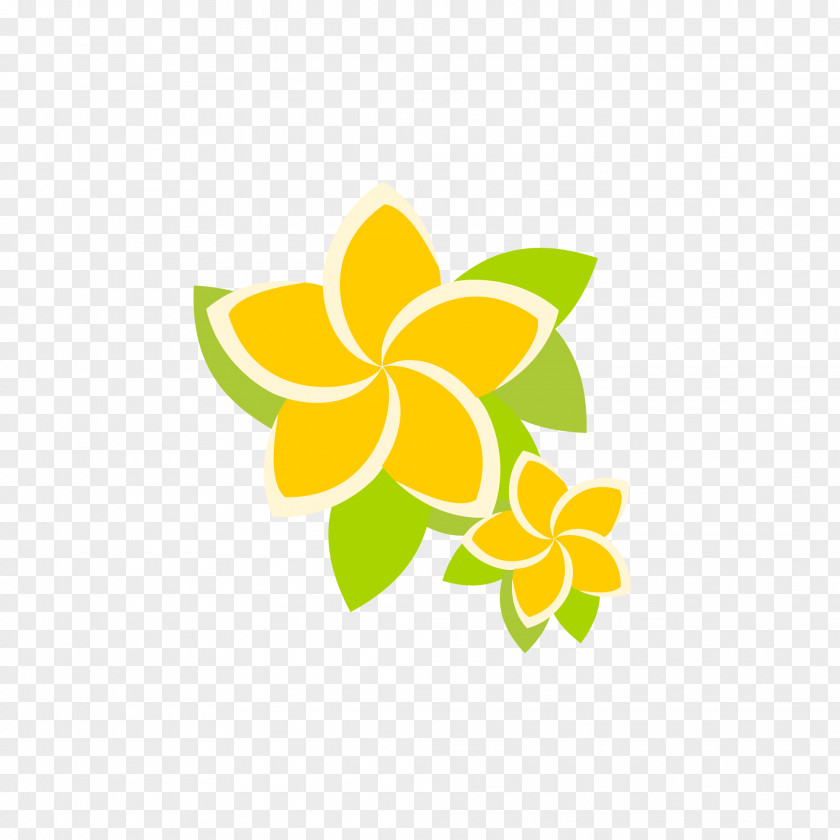 Frangipani Petal Logo Pollinator Flower PNG
