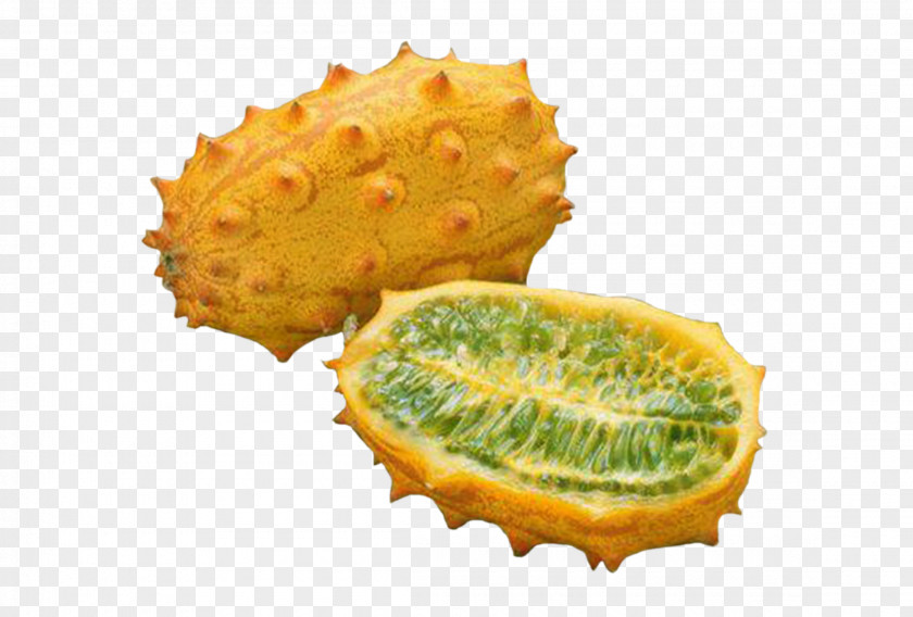 Horned Melon Slice Ackee And Saltfish Tropical Fruit Sapodilla PNG
