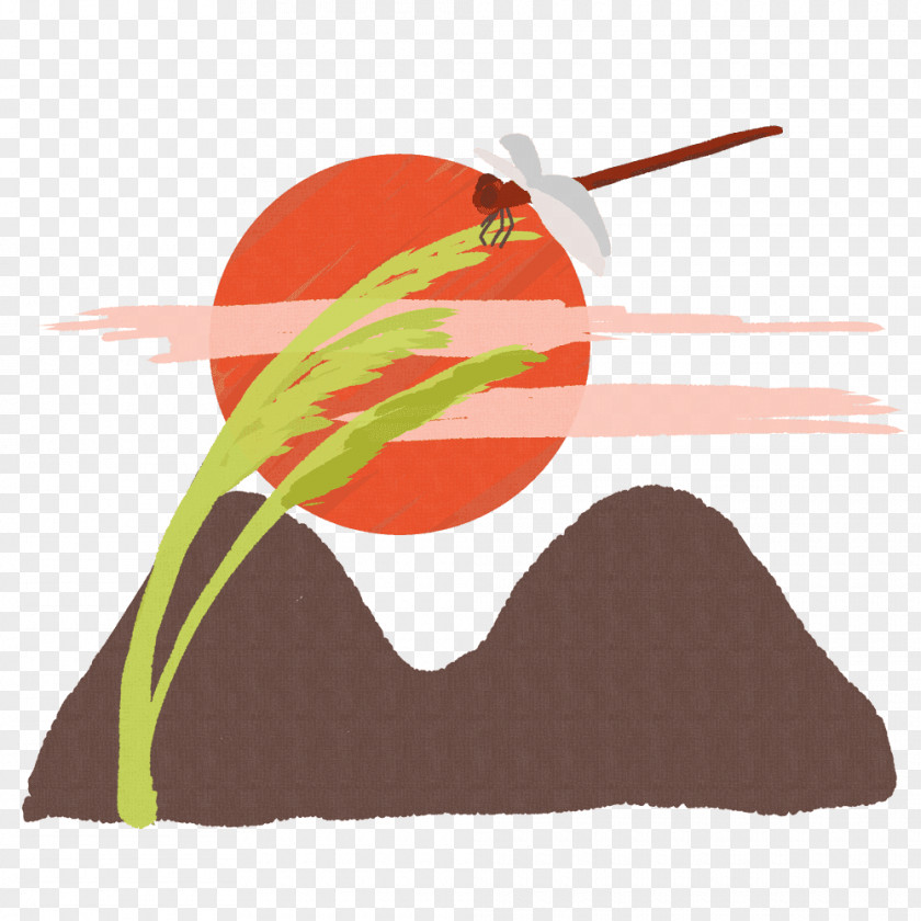 Illustration Odonate Chinese Silver Grass Insect Clip Art PNG