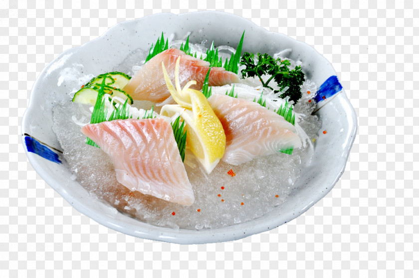 Japanese Salmon Sashimi Sushi Cuisine PNG