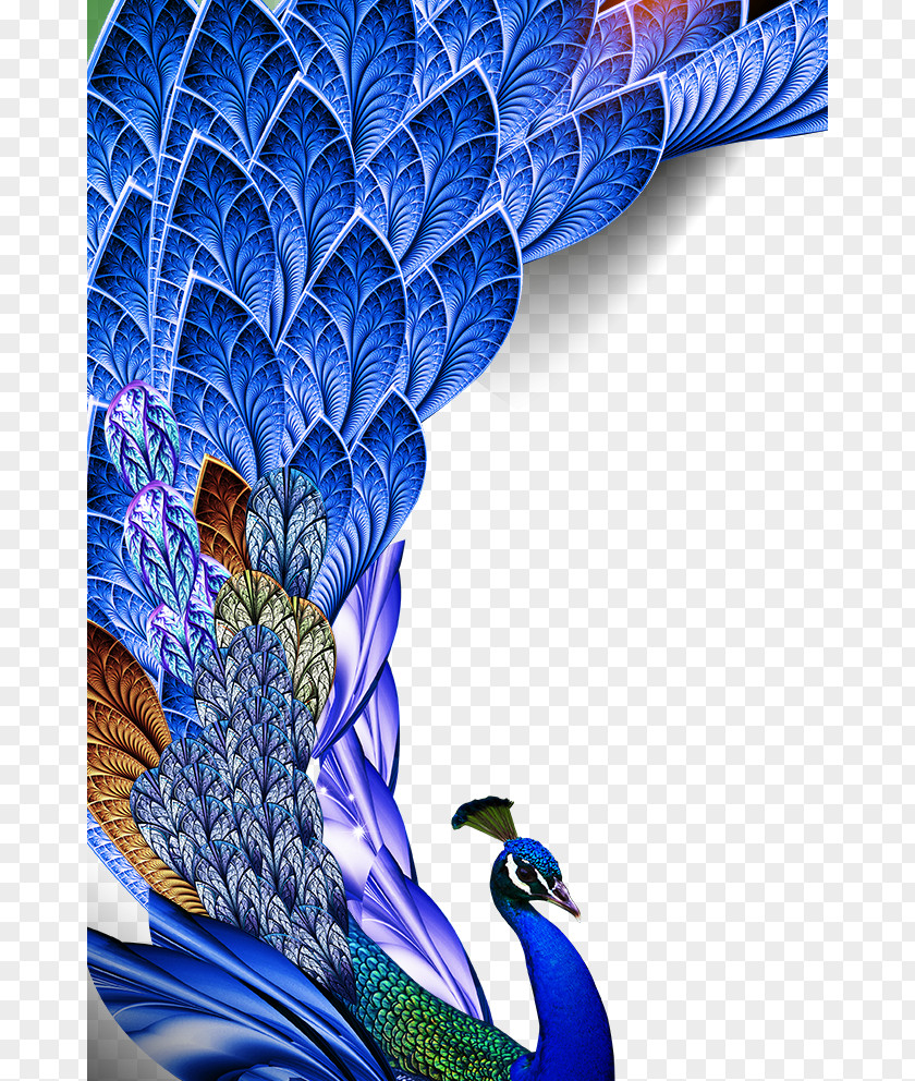 Peacock Feather Bird Huawei P10 Asiatic Peafowl PNG