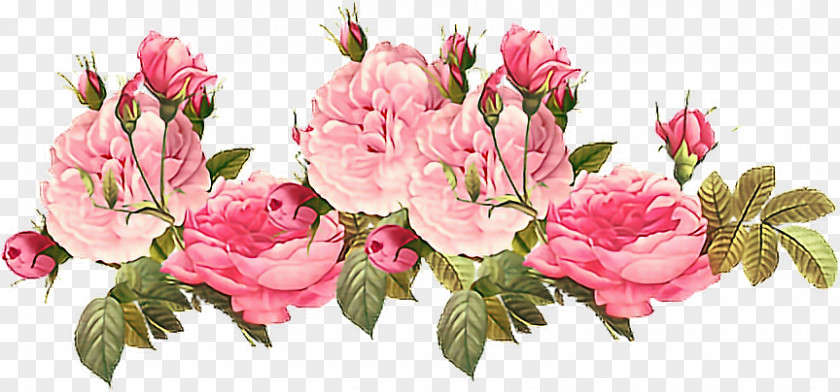 Rose Flower Paper Clip Art PNG