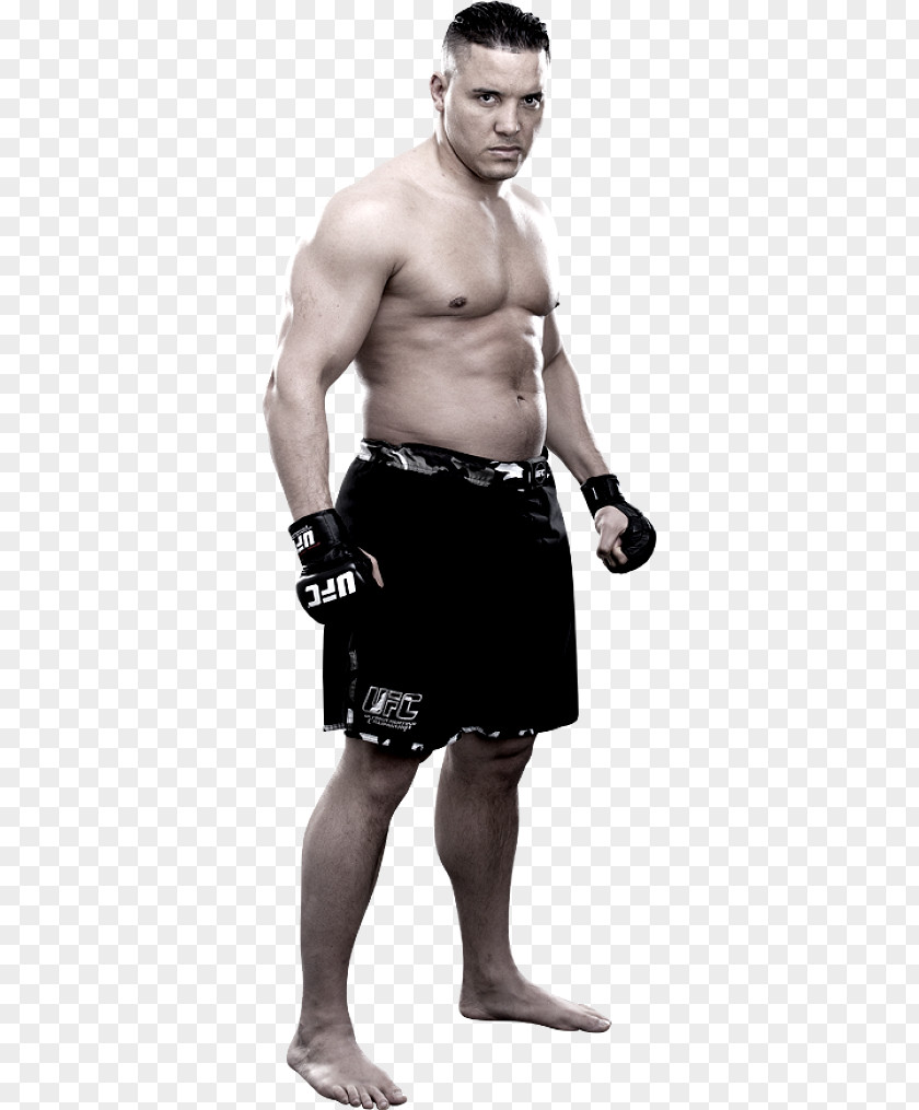 TUF 16 Finale The Ultimate Fighter UFC 161: Evans Vs. HendersonJordan Henderson Pat Barry 92: 2008 PNG