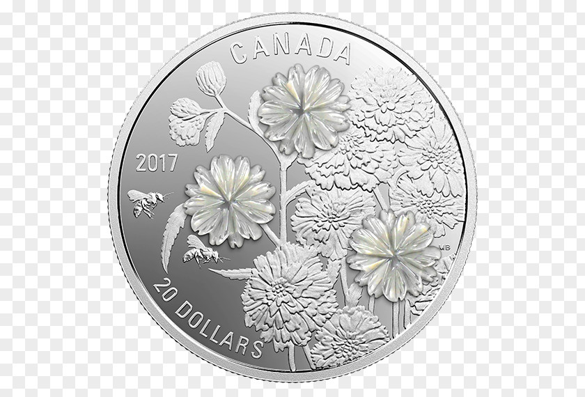 Coin Silver Canada Flower PNG