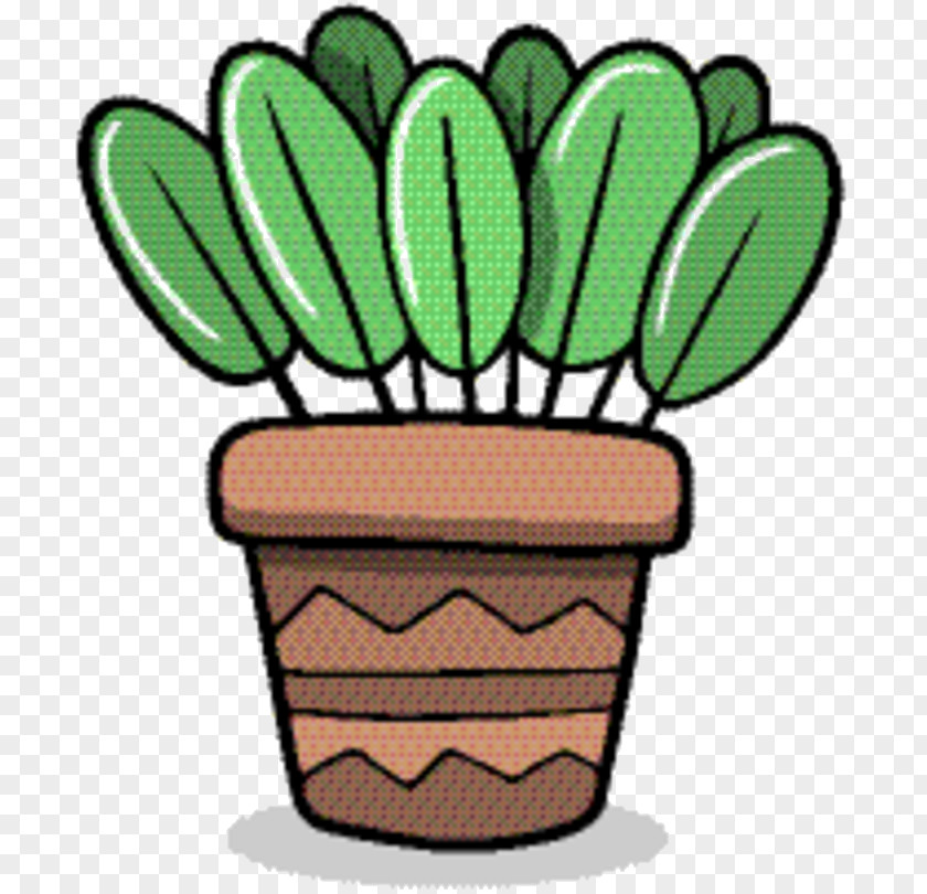 Houseplant Succulent Plant Green Leaf Background PNG