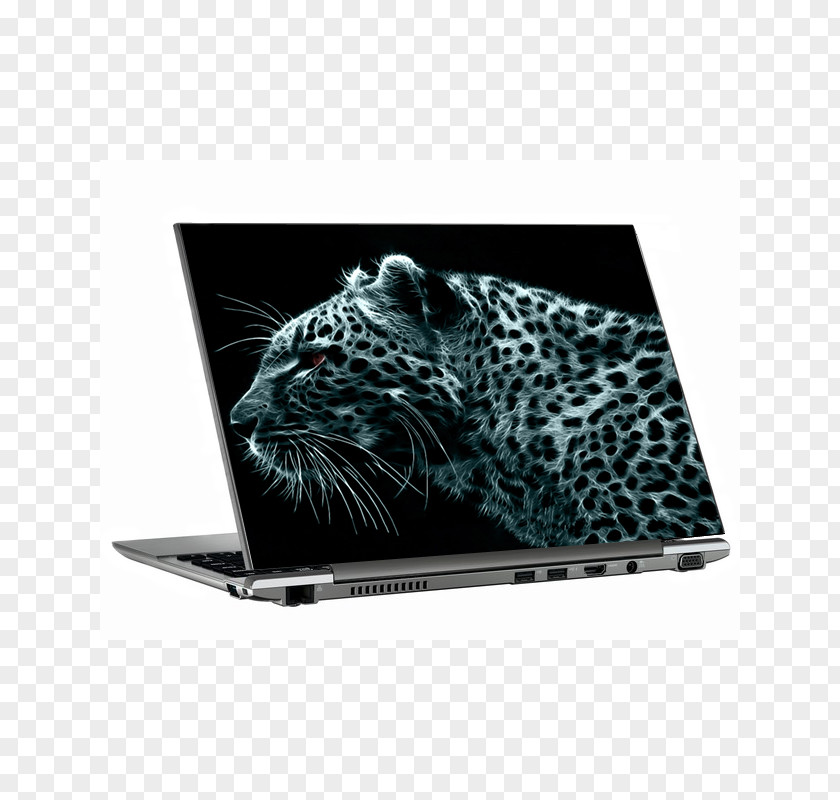 Leopard Desktop Wallpaper Felidae Cheetah PNG