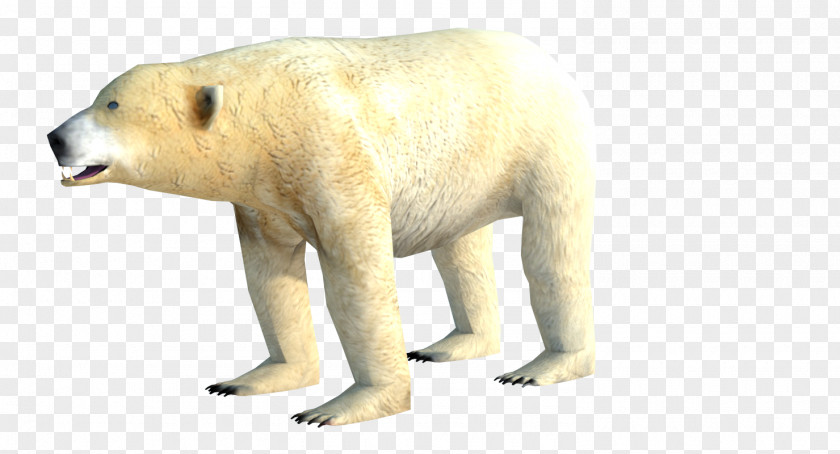 Polar Bear Low Poly 3D Computer Graphics Modeling PNG