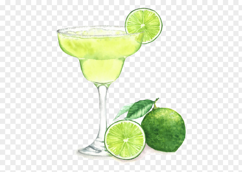 Watercolor Cocktails Margarita Cocktail Painting Drawing Illustration PNG