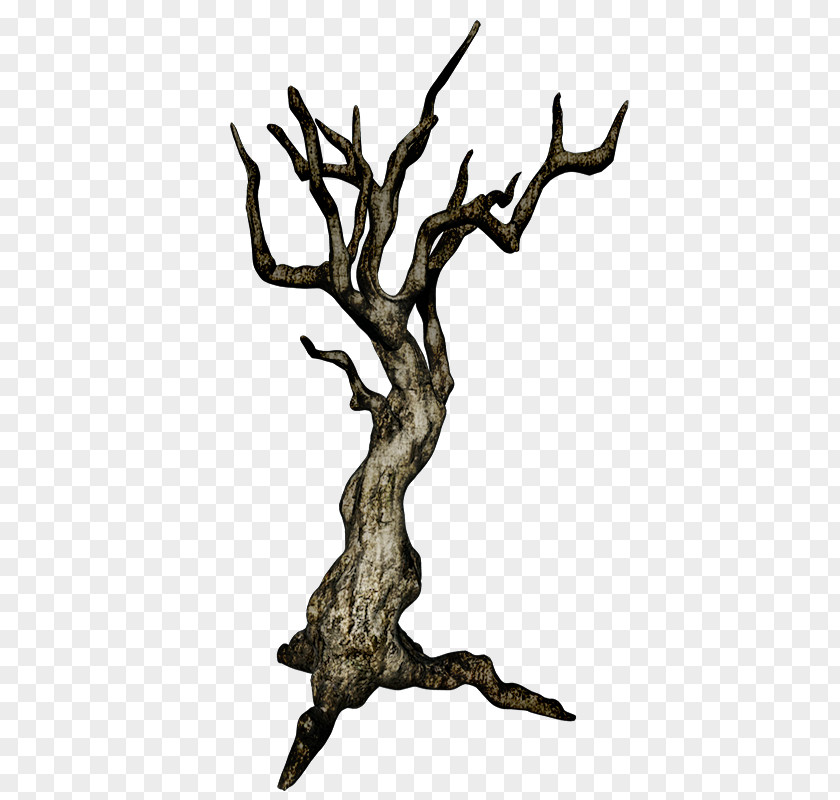 Wood Branch Twig Tree PNG