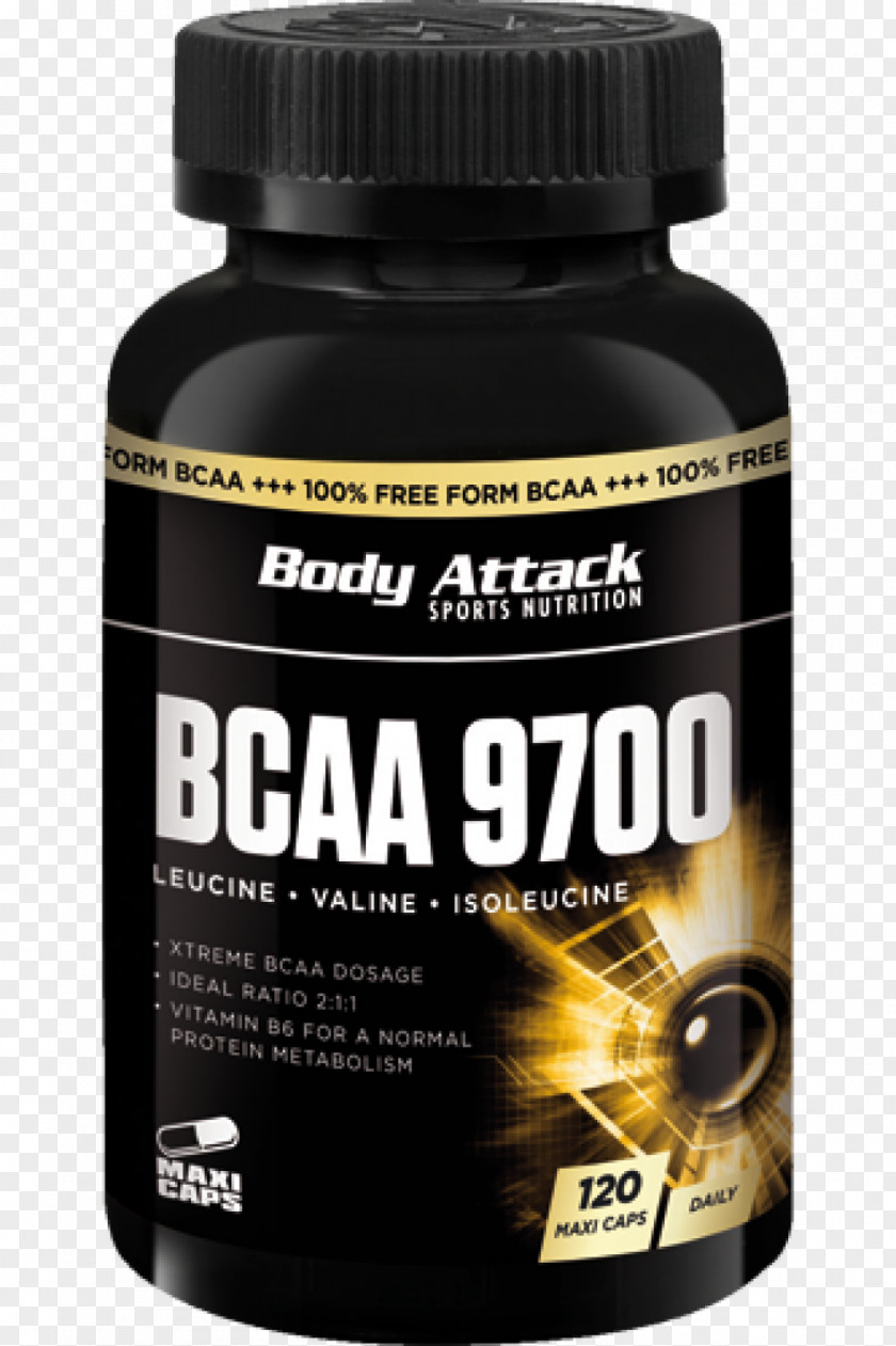 Bcaa Bindii Dietary Supplement Branched-chain Amino Acid Sports Nutrition Embryophyta PNG