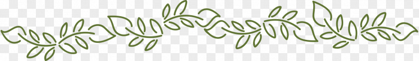 Elegant Bride Twig Grasses Plant Stem Herb Font PNG