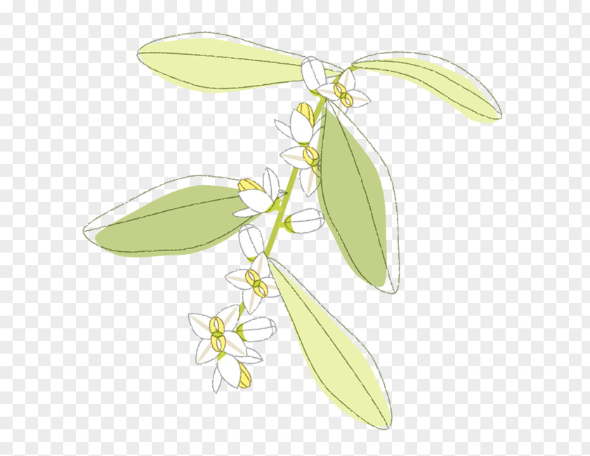 Flower Flowering Plant Stem Fruit Tree PNG