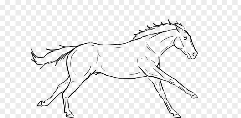 Gallop Arabian Horse Friesian Line Art Drawing PNG